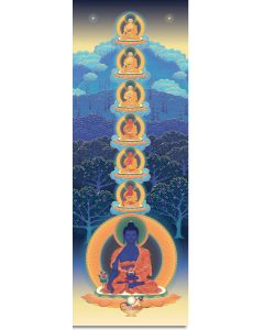 The Seven Medicine Buddhas