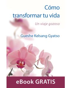 Cómo transformar tu vida – Minitarjeta