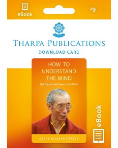 How to Understand the Mind - ebook DOWNLOAD CARD