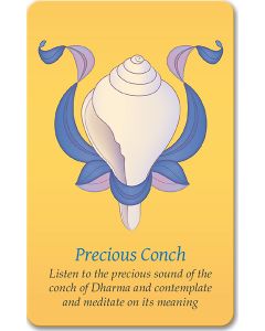 Precious Conch - minicard