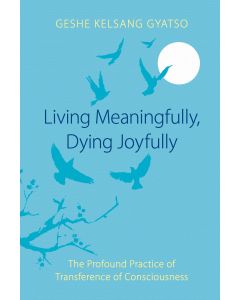 Living Meaningfully, Dying Joyfully - Paperback