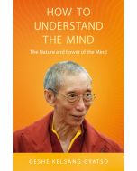 How to Understand the Mind - paperback - front cover