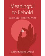 Meaningful to Behold - Front