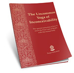 The Uncommon Yoga of Inconceivability