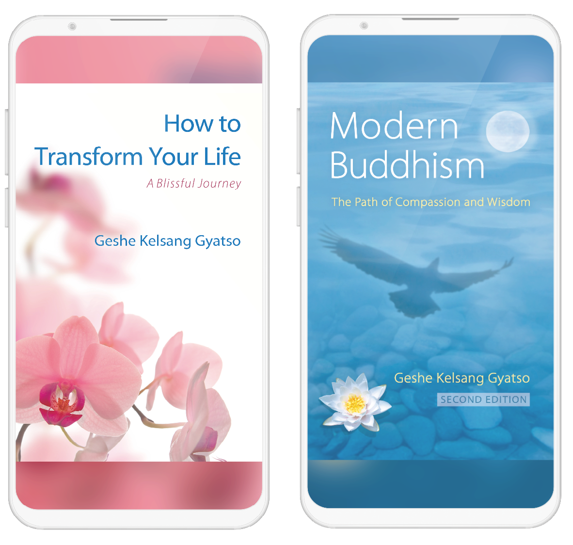 modern-buddhism-HTTYL-mobile-large_2x